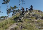 Porcilaia 11.08.2019